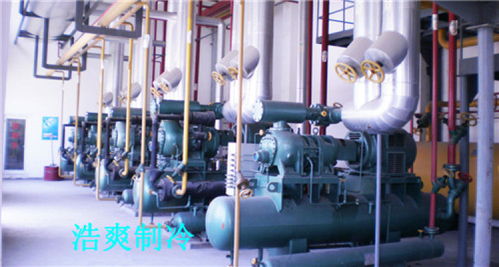 天津防爆型冷庫工程中的網絡系統(tǒng) 設計與安裝要點解析